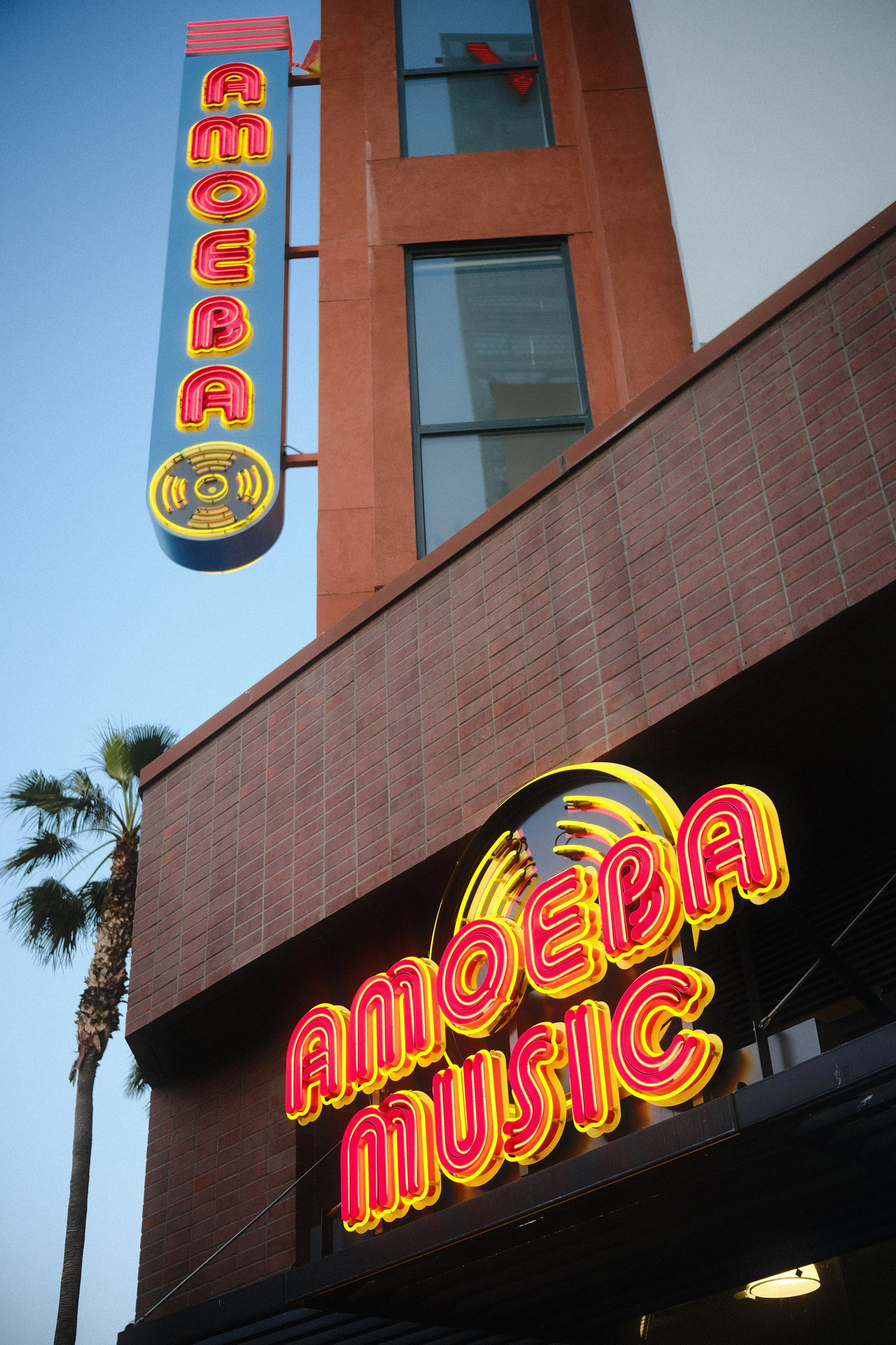 Amoeba Music